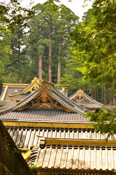 DSC_3885 (Large).JPG